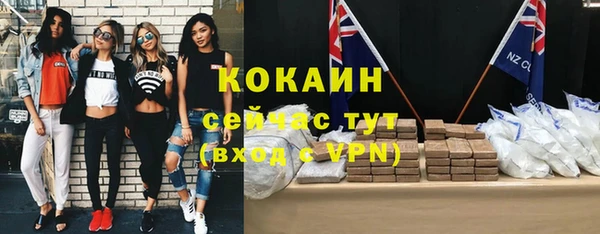 СК Волоколамск
